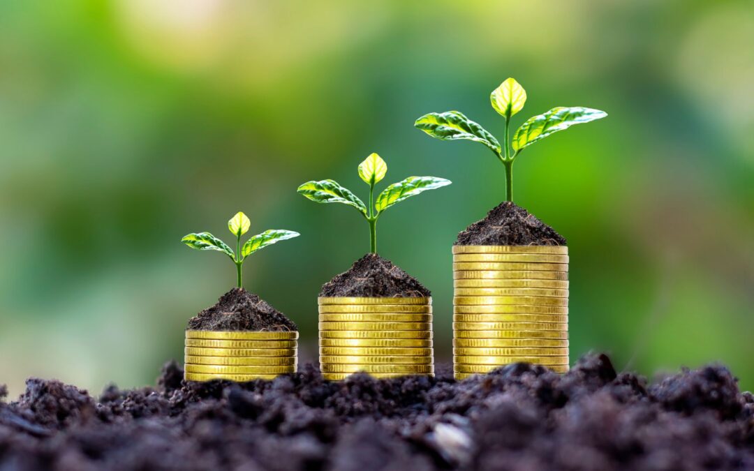 How to Build Financial Resilience: An SMB Guide