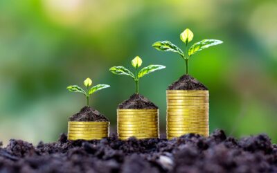 How to Build Financial Resilience: An SMB Guide