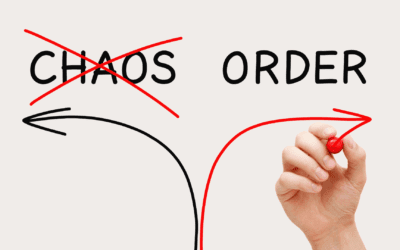 From Manual Chaos to Automated Clarity: Proxxy Case Study