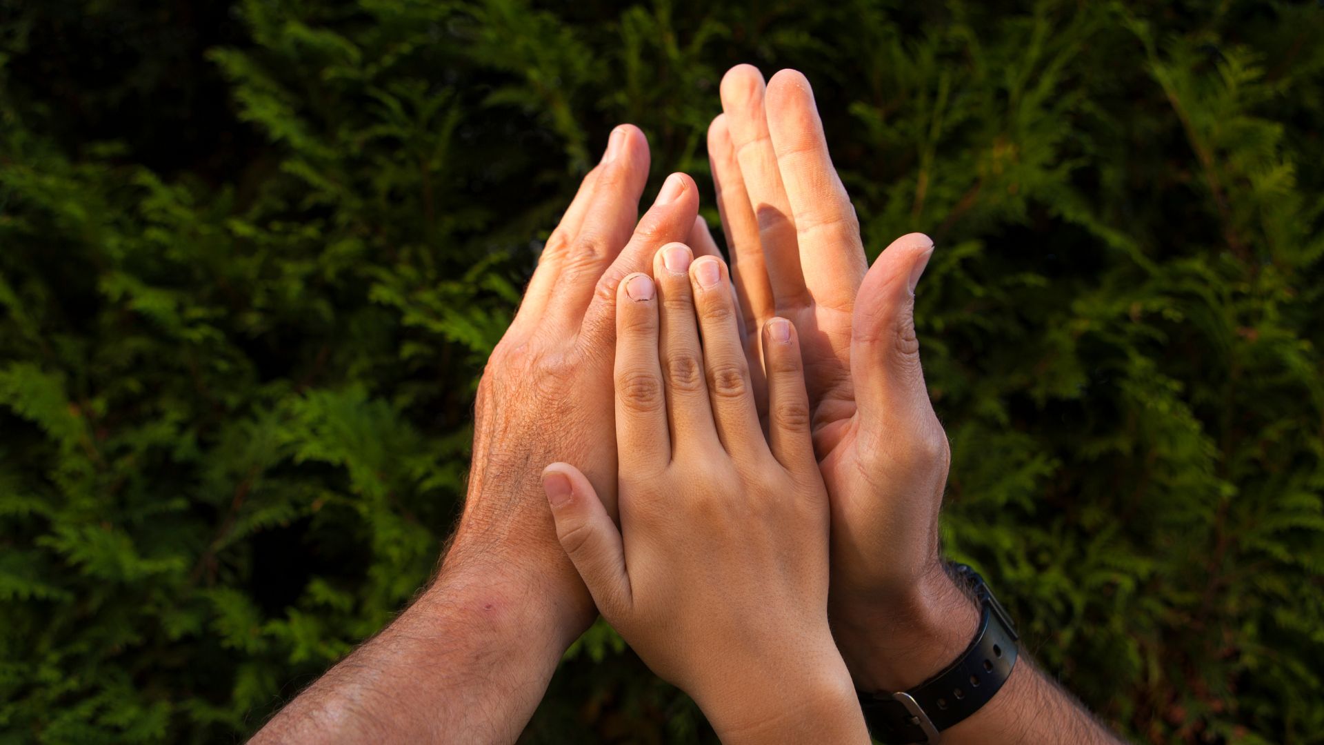 Why “Empowered Teams” Is a Myth Without Executive Enablement